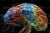 Neuroplasticidad: El Asombroso Poder del Cerebro para Reinventarse